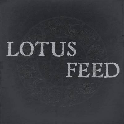 logo Lotus Feed